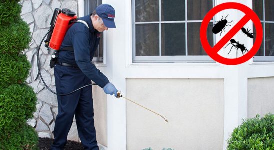 Gümüşhane Kemirgen İlaçlama böcek ilaçlama ve haşere kontrolü — ilaclama-tr.com